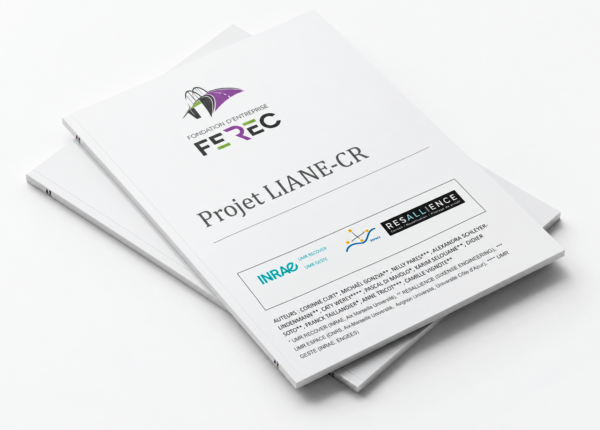 2019_LIANE-CR-mockup